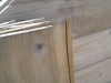 IMG_20120320_110502