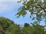 Vogelpark Heiligenkirchen