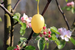 frohe-ostern-bild