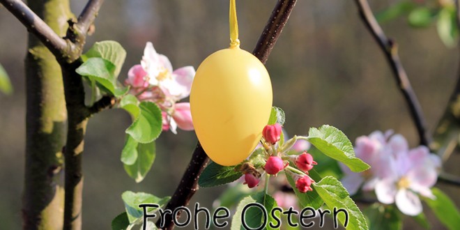 frohe-ostern-bild