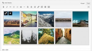 wordpress3.9-neue gallery